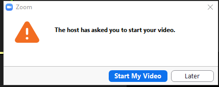 The image shows the pop-up window that a participant sees when the host requests a participant to start their video.