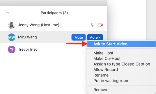 The image shows to click on Participants and then Ask to Start Video.