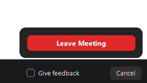 The image shows that students can click on the button Leave Meeting in red when they have finished their exam.